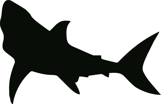 Silhouette of Shark    